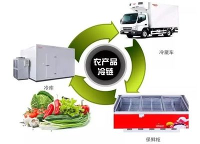 农产品冷链物流的关键环节与保鲜冷藏设备详解